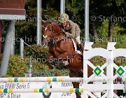 Guarducci Tea Rose GioCav2013 S5 1343 : Campionati Italiani Giovani Cavalli, Cattolica, Guarducci Francesco, Tea Rose, ph Stefano Secchi ©